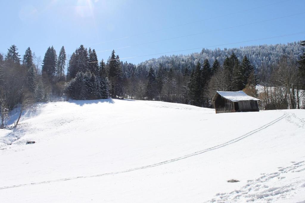 Aparthotel Gaestehaus Alpvital 3*